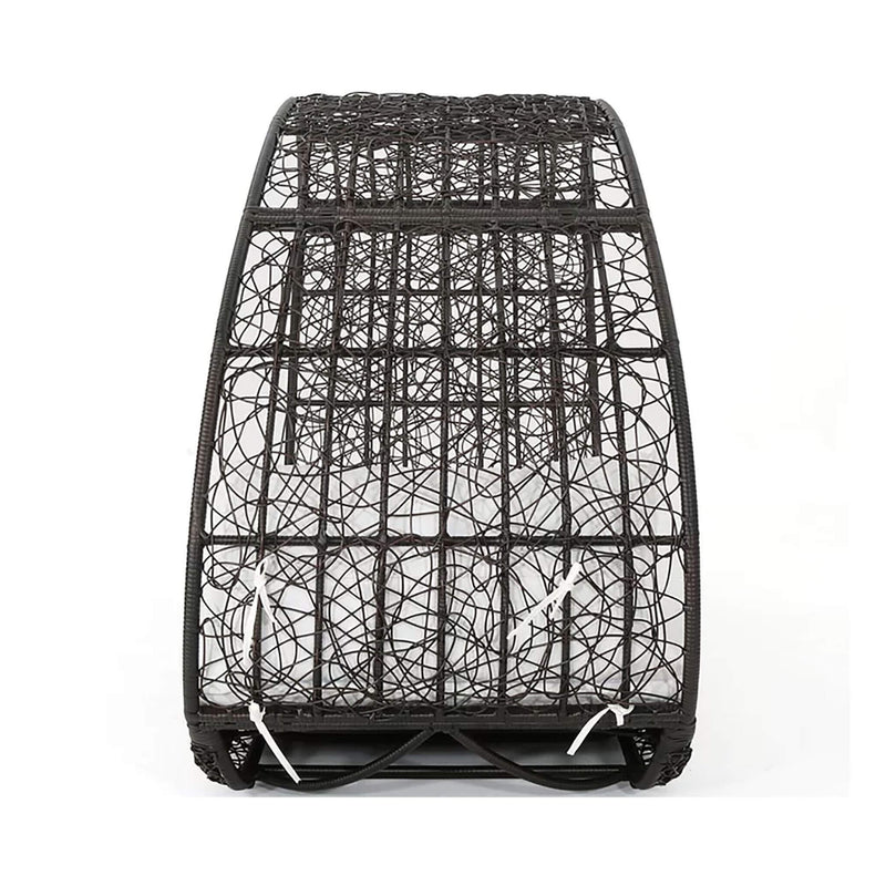 Alora Large 2-Person Abigal Outdoor Wicker Daybed With Aluminum Frame And Cushions (SAK23942)